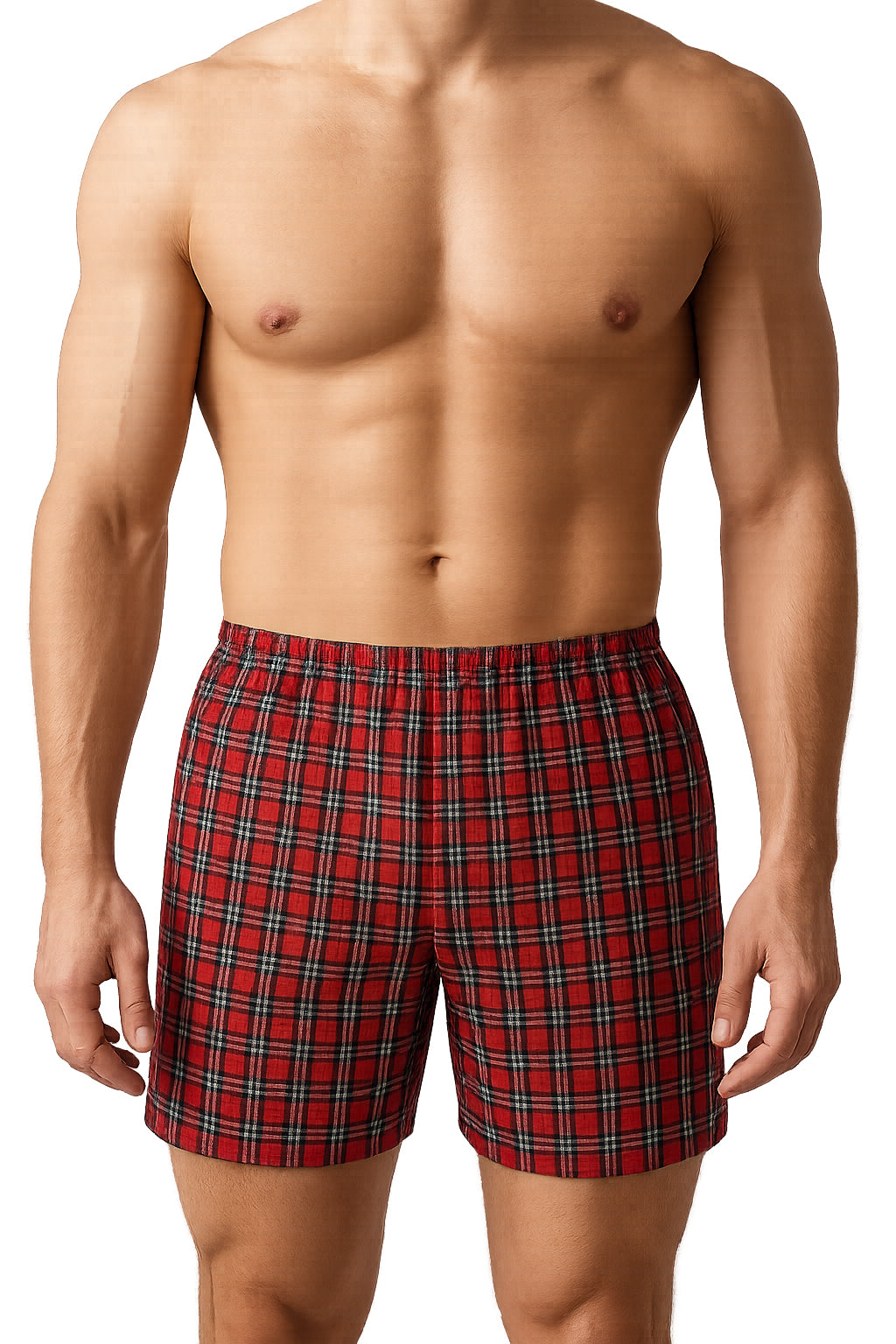 Big Man's Woven Boxer (Broadcloth, 2-pack)
