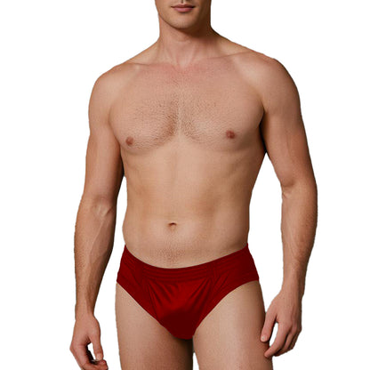 Nylon Tricot Brief